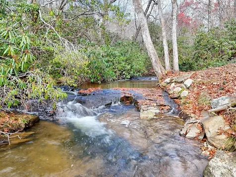 7829 Dillard Road Scaly Mountain NC 28775