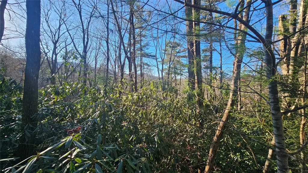 282 Pine Cone Court Sapphire NC 28774