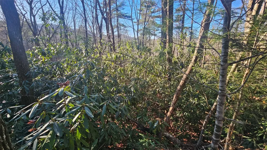 282 Pine Cone Court Sapphire NC 28774