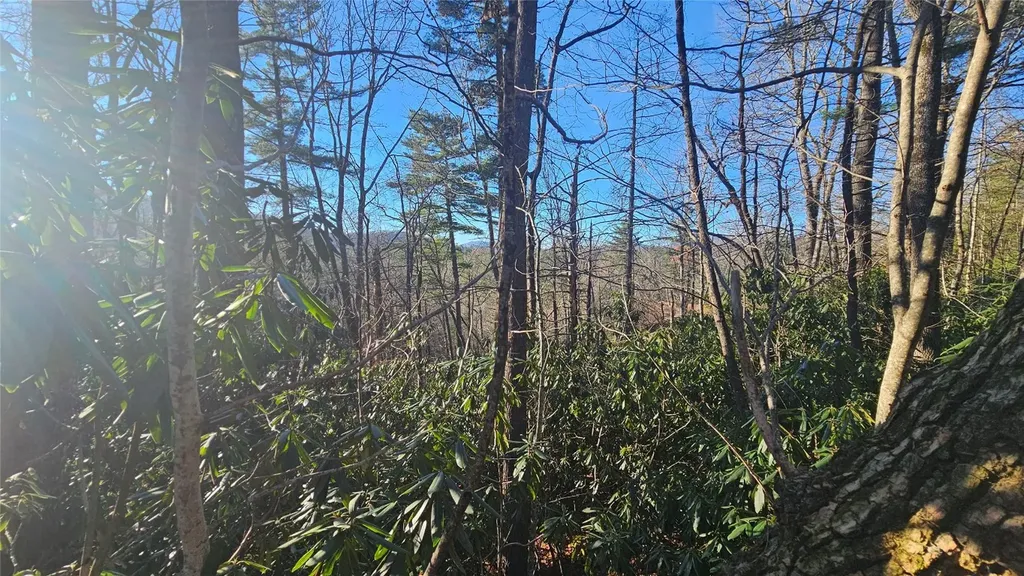 282 Pine Cone Court Sapphire NC 28774