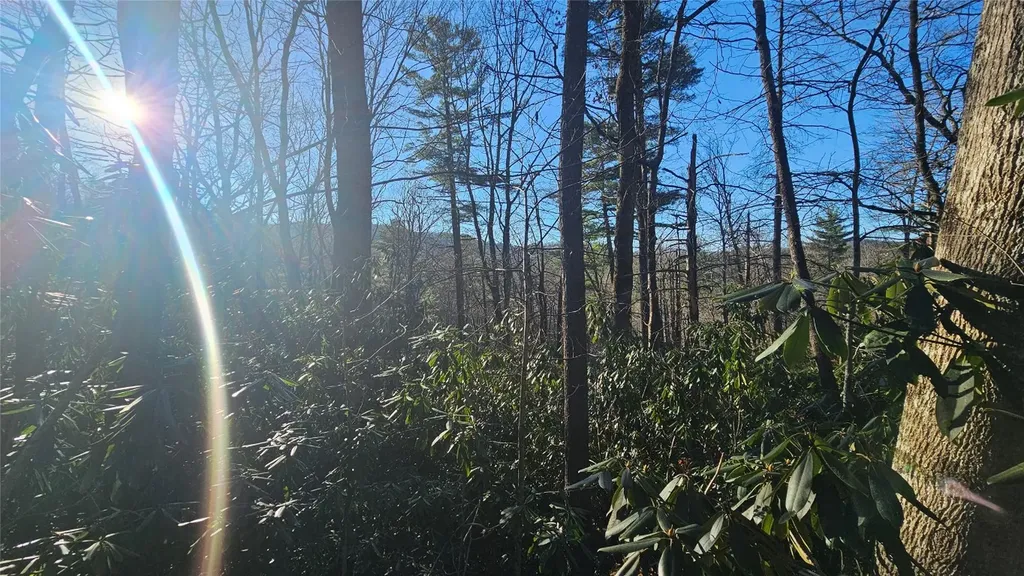 282 Pine Cone Court Sapphire NC 28774