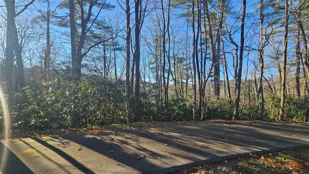 282 Pine Cone Court Sapphire NC 28774