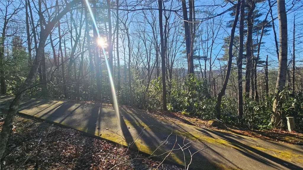 282 Pine Cone Court Sapphire NC 28774