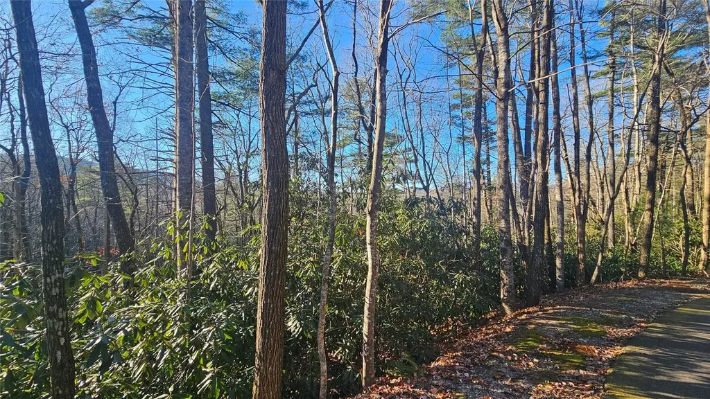 282 Pine Cone Court Sapphire NC 28774