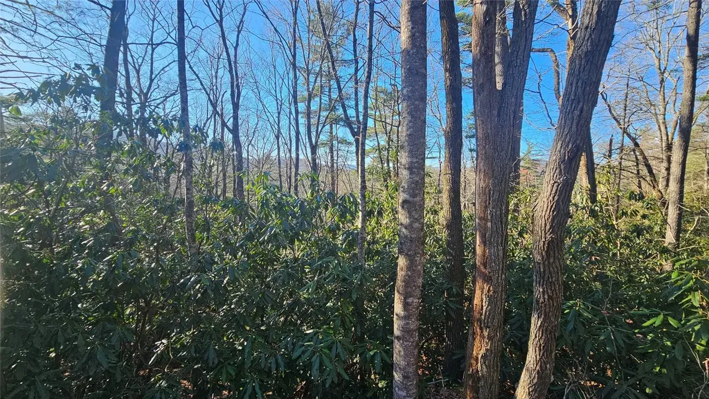 282 Pine Cone Court Sapphire NC 28774