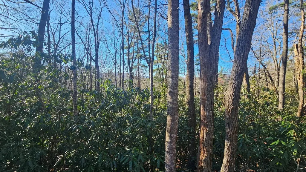 282 Pine Cone Court Sapphire NC 28774