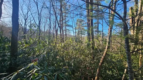 282 Pine Cone Court Sapphire NC 28774