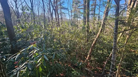 282 Pine Cone Court Sapphire NC 28774