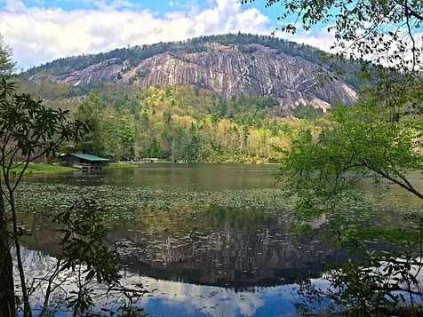 282 Pine Cone Court Sapphire NC 28774