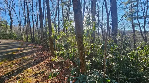 282 Pine Cone Court Sapphire NC 28774