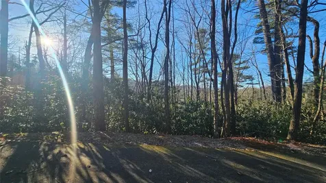 282 Pine Cone Court Sapphire NC 28774