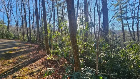 282 Pine Cone Court Sapphire NC 28774