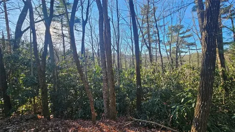 282 Pine Cone Court Sapphire NC 28774