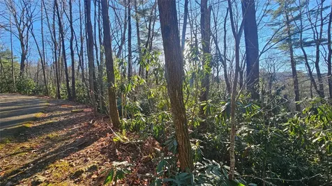 282 Pine Cone Court Sapphire NC 28774