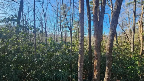 282 Pine Cone Court Sapphire NC 28774