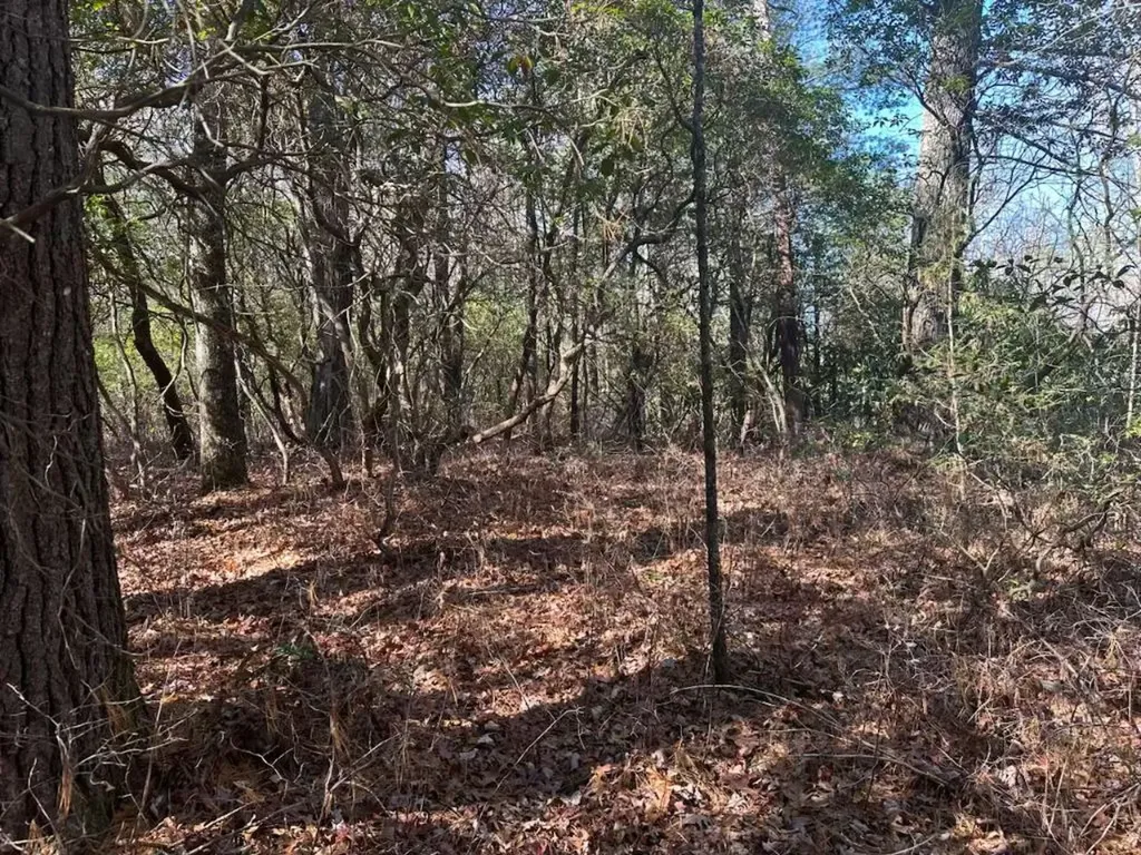 K 47 Chestnut Trace Lake Toxaway NC 28747