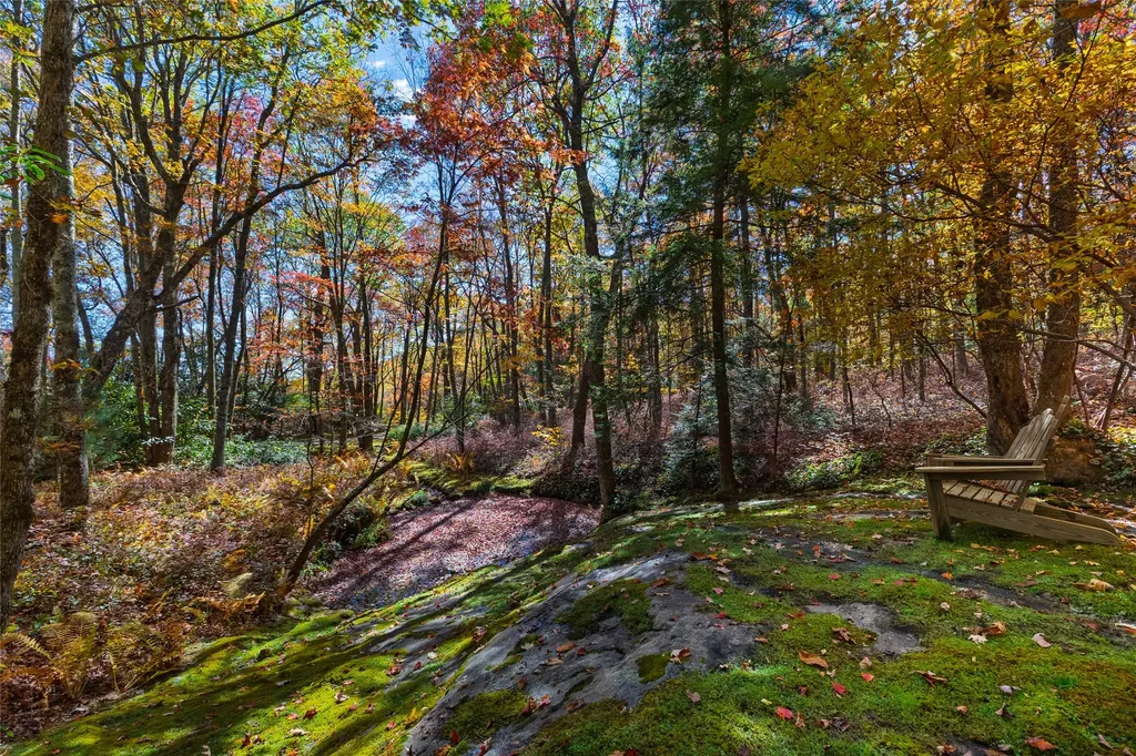 176 Panthertown Trail Sapphire NC 28774