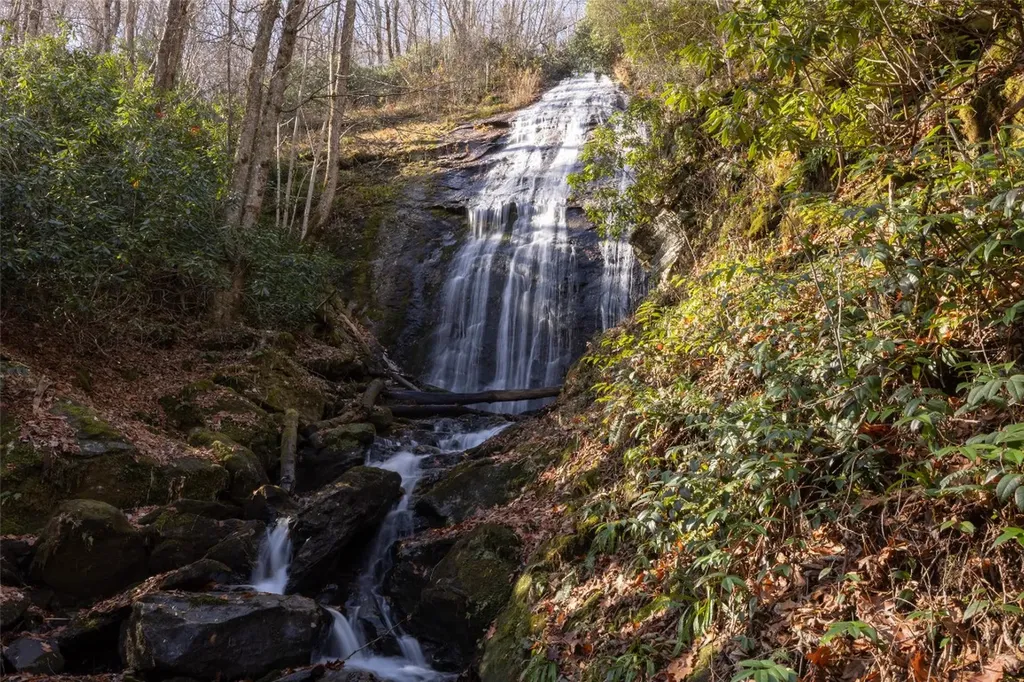 47 Cullowhee Forest Road Cullowhee NC 28723