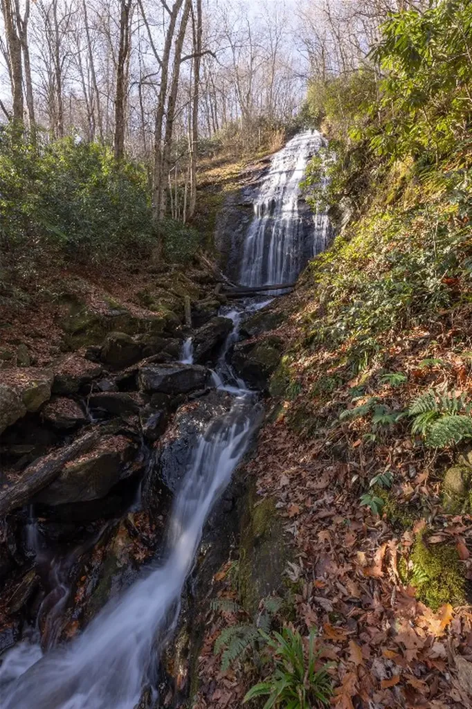 47 Cullowhee Forest Road Cullowhee NC 28723