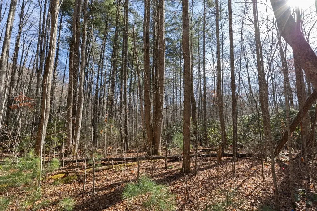 47 Cullowhee Forest Road Cullowhee NC 28723