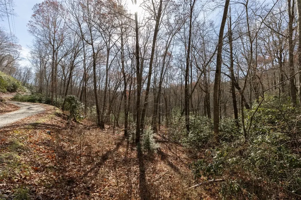 47 Cullowhee Forest Road Cullowhee NC 28723