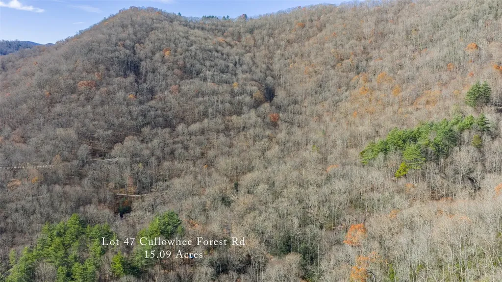 47 Cullowhee Forest Road Cullowhee NC 28723