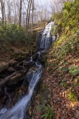 47 Cullowhee Forest Road Cullowhee NC 28723