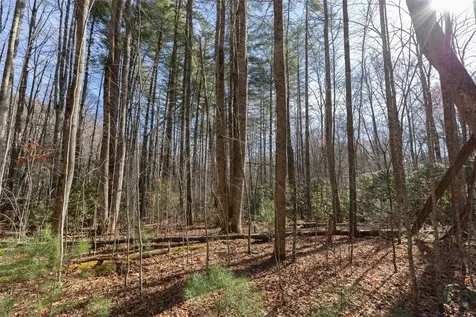 47 Cullowhee Forest Road Cullowhee NC 28723