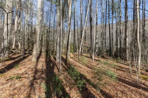 47 Cullowhee Forest Road Cullowhee NC 28723