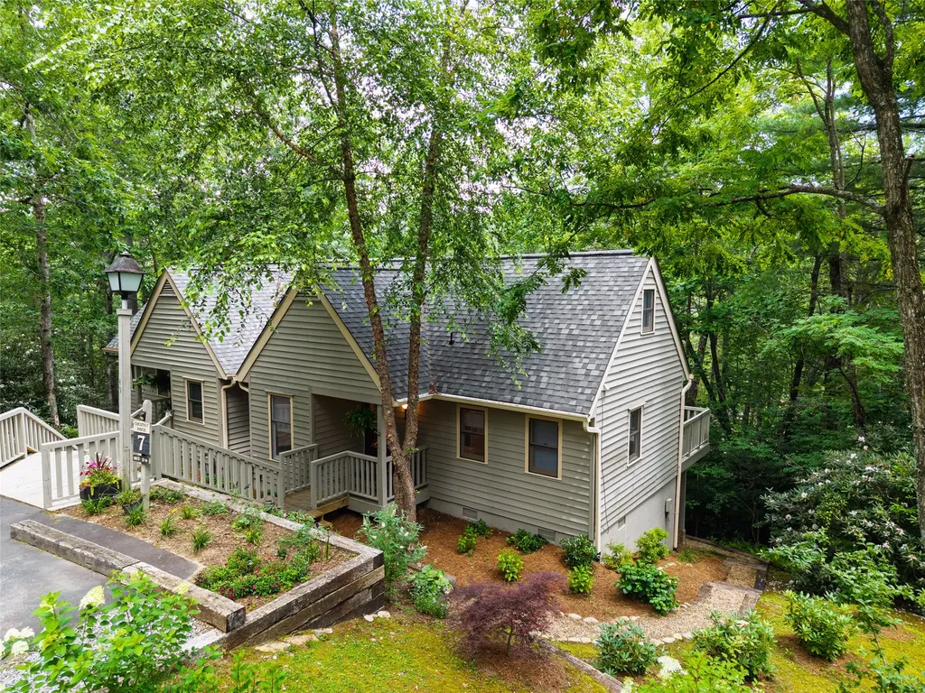 49 Kiwi Lane Sapphire NC 28774