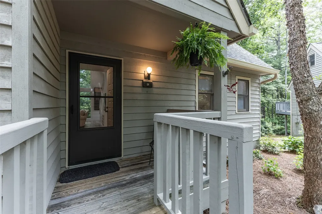 49 Kiwi Lane Sapphire NC 28774