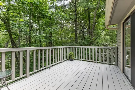 49 Kiwi Lane Sapphire NC 28774