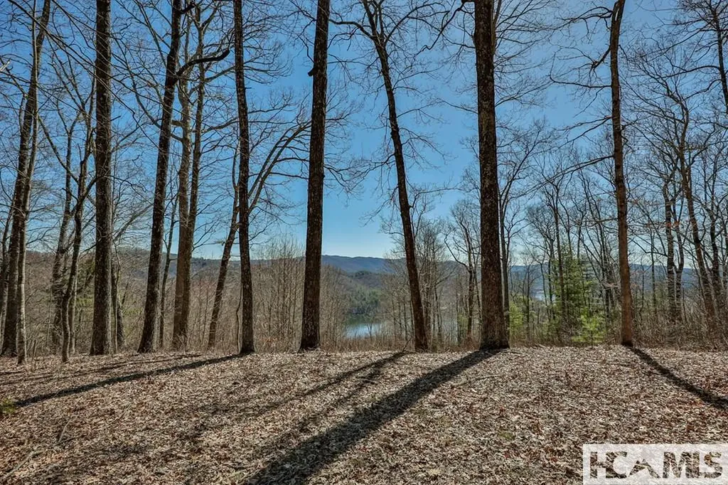 990 Shepherds Gap Road Cullowhee NC 28723