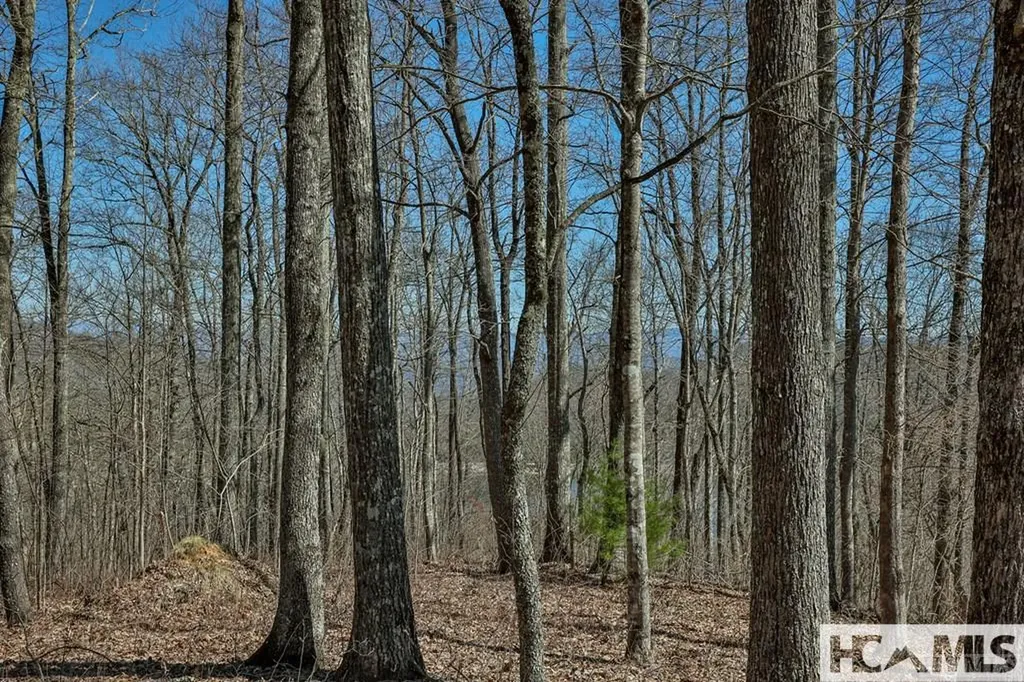 990 Shepherds Gap Road Cullowhee NC 28723