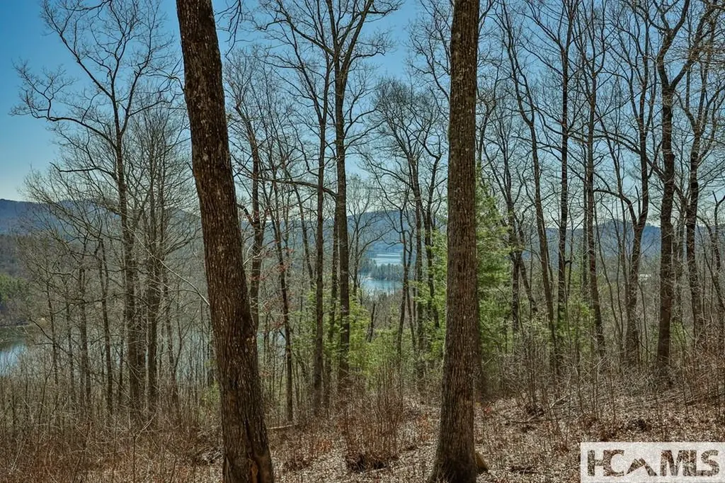 990 Shepherds Gap Road Cullowhee NC 28723