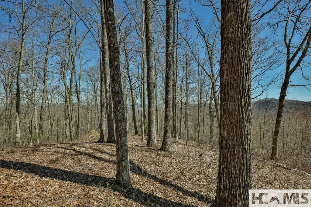 990 Shepherds Gap Road Cullowhee NC 28723