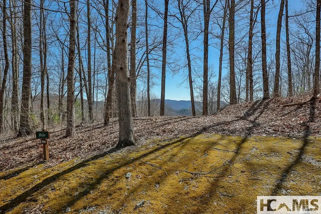 990 Shepherds Gap Road Cullowhee NC 28723