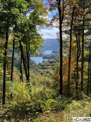 990 Shepherds Gap Road Cullowhee NC 28723