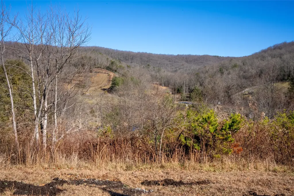 33 N Shadow Run Balsam Grove NC 28708