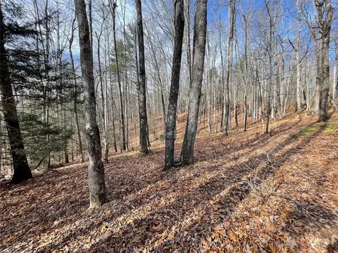 102 Knobster Way Glenville NC 28736