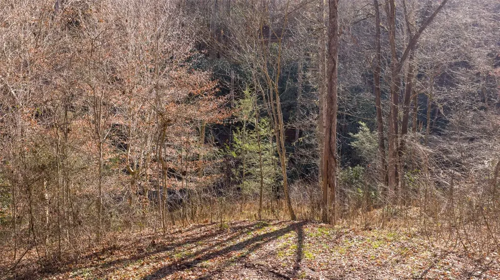 3 Waterdance Drive Cullowhee NC 28723