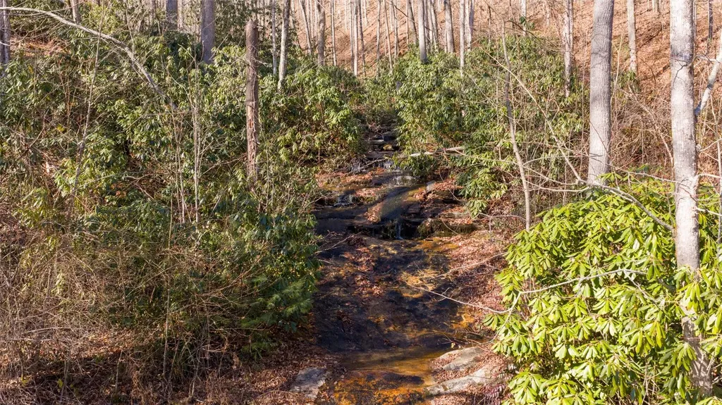 3 Waterdance Drive Cullowhee NC 28723