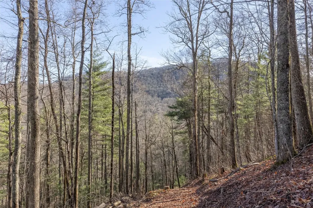 Trct 3 Buck Creek Road Highlands NC 28741