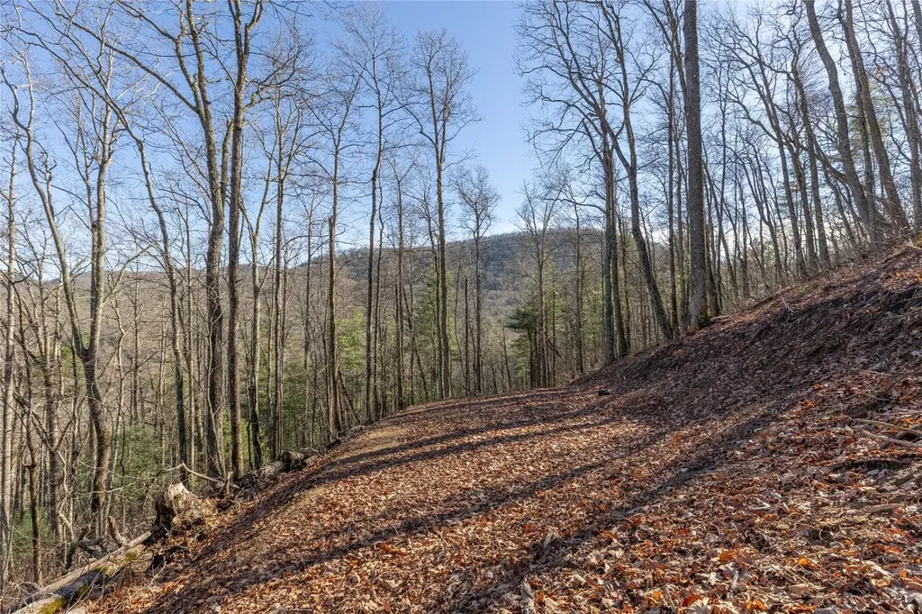 Trct 3 Buck Creek Road Highlands NC 28741