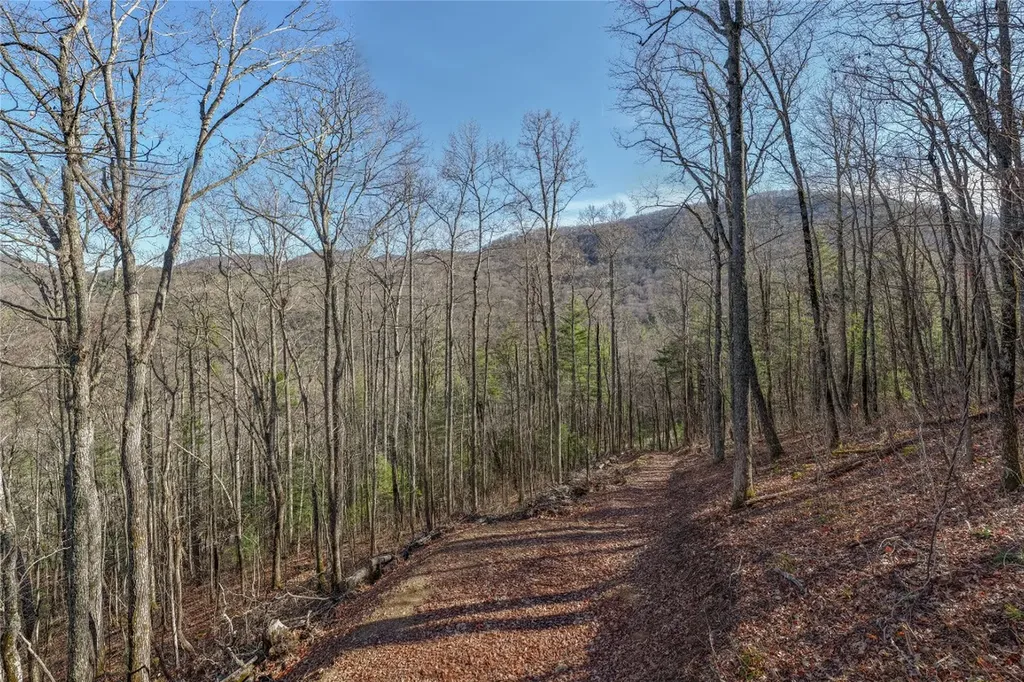 Trct 3 Buck Creek Road Highlands NC 28741