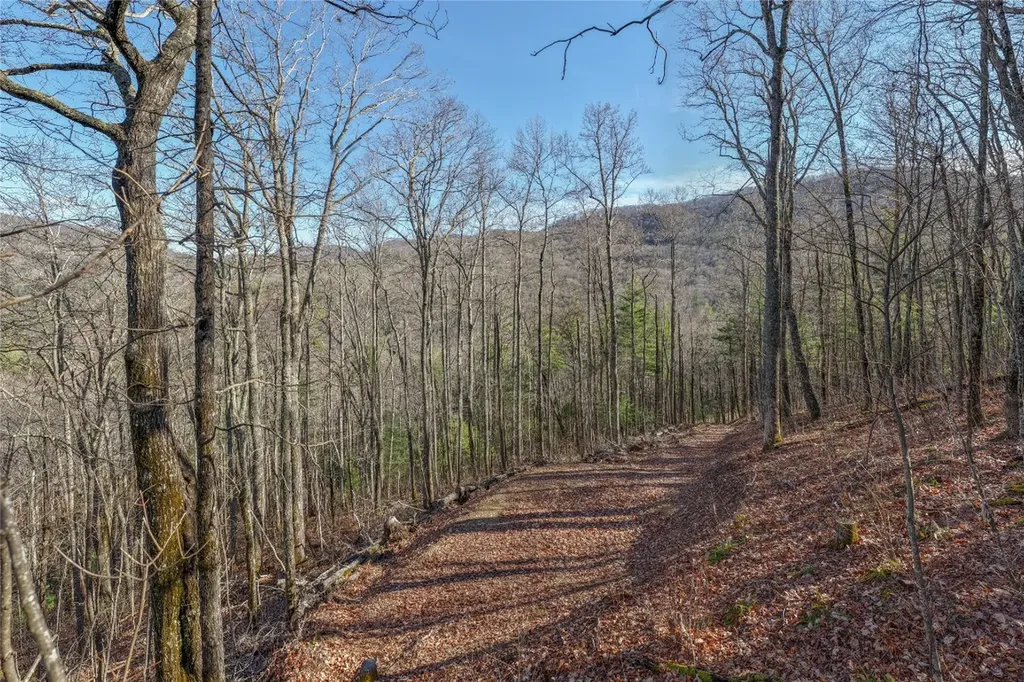 Trct 3 Buck Creek Road Highlands NC 28741