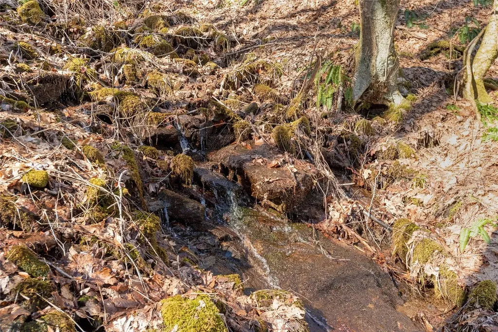 Trct 3 Buck Creek Road Highlands NC 28741