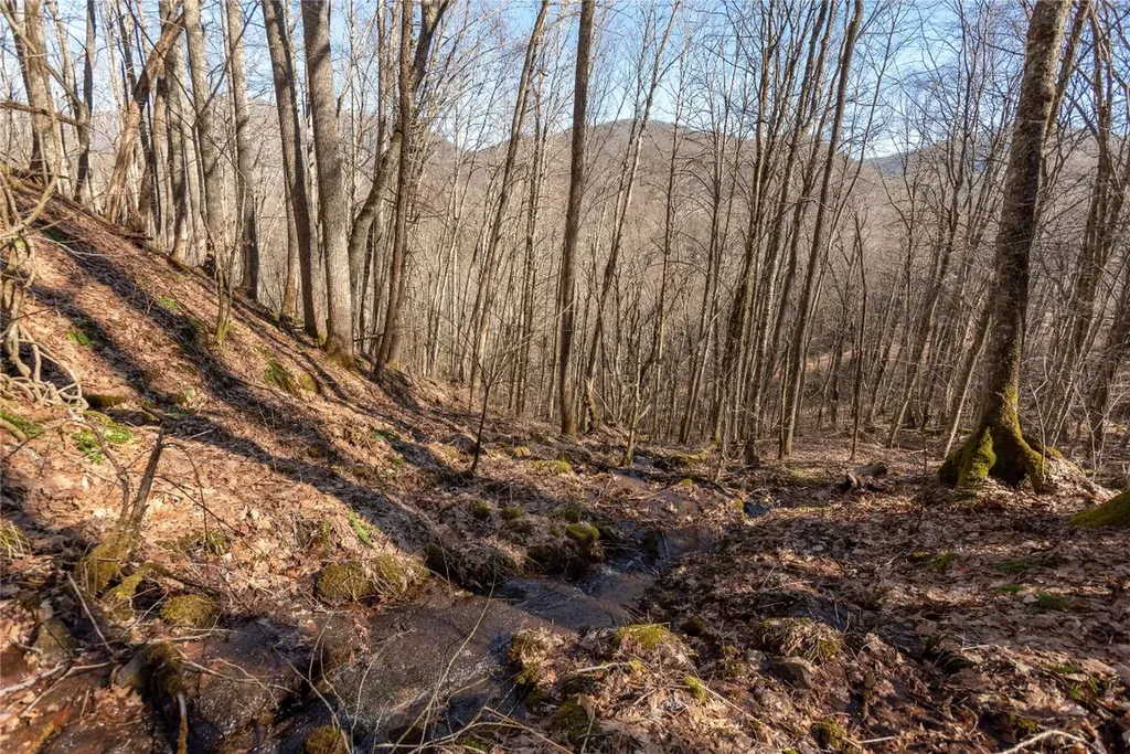 Trct 3 Buck Creek Road Highlands NC 28741