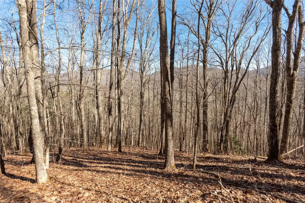 Trct 3 Buck Creek Road Highlands NC 28741