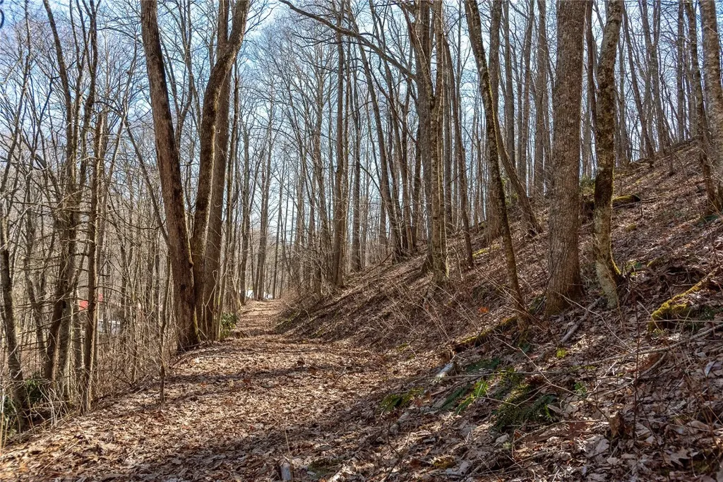 Trct 3 Buck Creek Road Highlands NC 28741